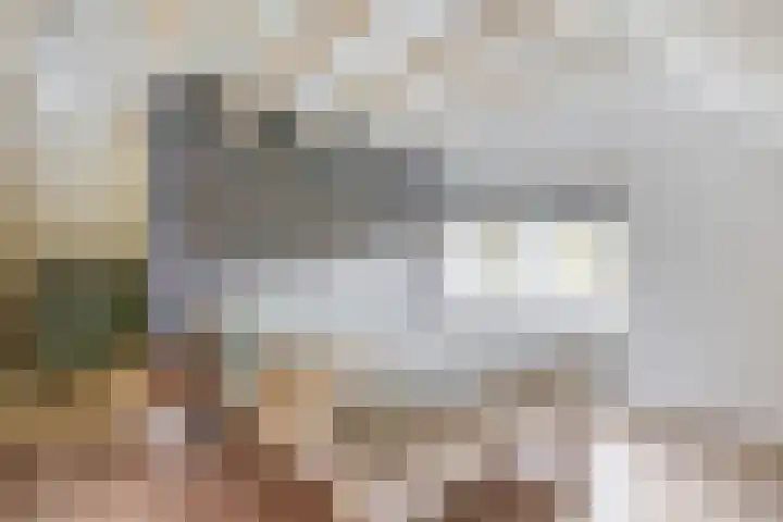 Darperkerkweg 5 Darp thumbnail 44