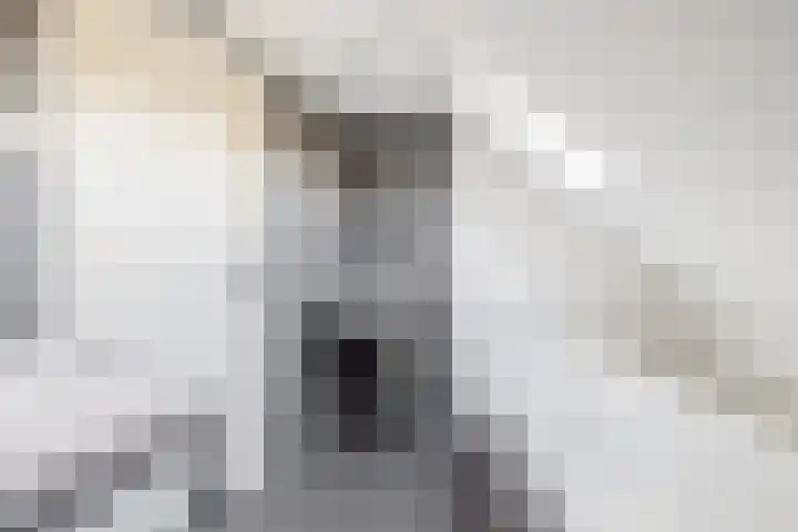 Darperkerkweg 5 Darp thumbnail 47