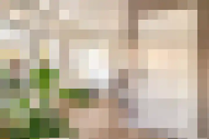 Darperkerkweg 5 Darp thumbnail 5