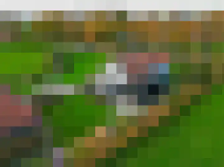 Darperkerkweg 5 Darp thumbnail 57