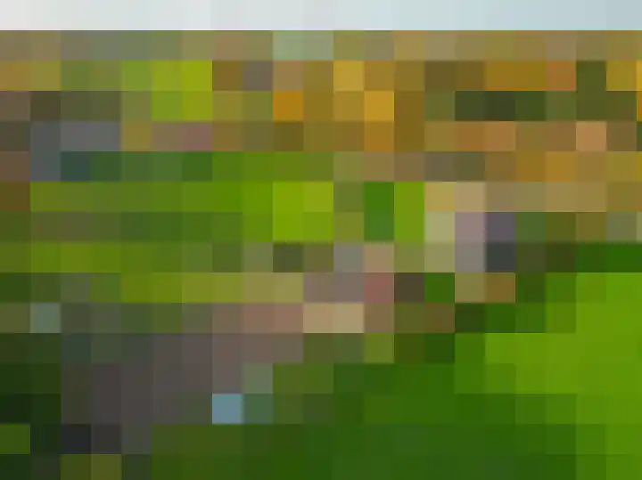 Darperkerkweg 5 Darp thumbnail 58