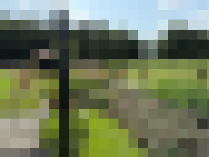 Darperkerkweg 5 Darp thumbnail 64