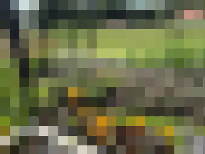 Darperkerkweg 5 Darp thumbnail 65