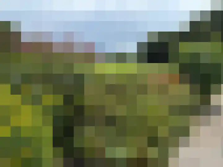 Darperkerkweg 5 Darp thumbnail 66