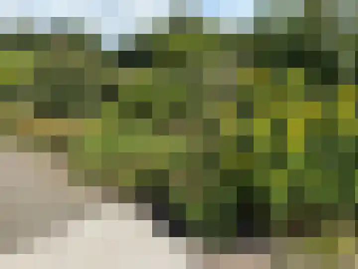 Darperkerkweg 5 Darp thumbnail 67