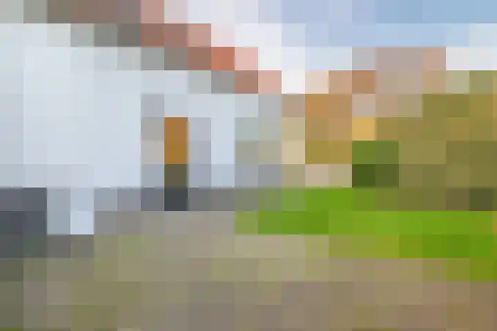 Darperkerkweg 5 Darp thumbnail 70