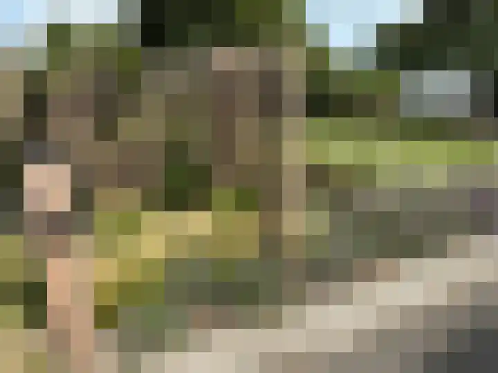 Darperkerkweg 5 Darp thumbnail 74