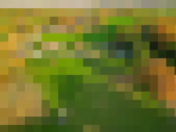 Darperkerkweg 5 Darp thumbnail 76
