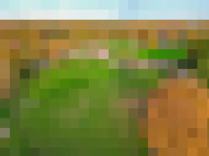 Darperkerkweg 5 Darp thumbnail 78