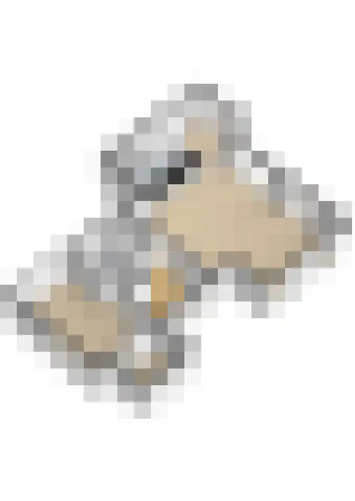 Darperkerkweg 5 Darp thumbnail 82
