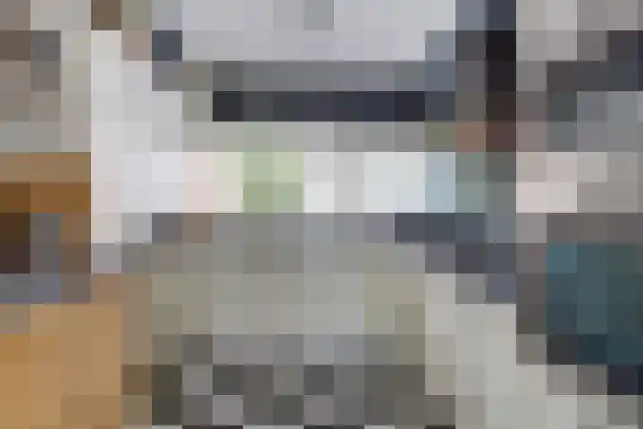 Dars 5 Zwaag thumbnail 10