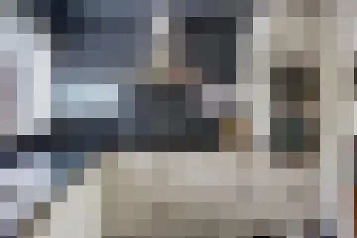 Dars 5 Zwaag thumbnail 11