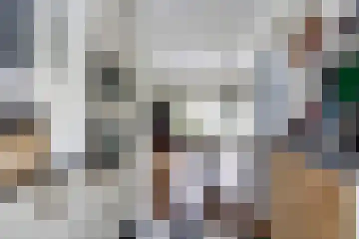 Dars 5 Zwaag thumbnail 12