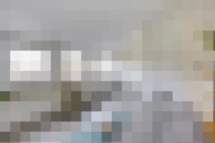 Dars 5 Zwaag thumbnail 21