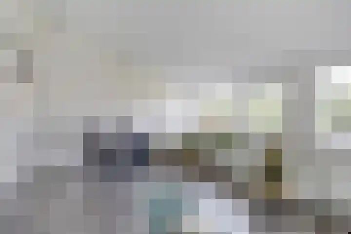 Dars 5 Zwaag thumbnail 22