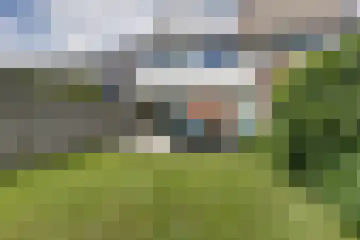 Dars 5 Zwaag thumbnail 25