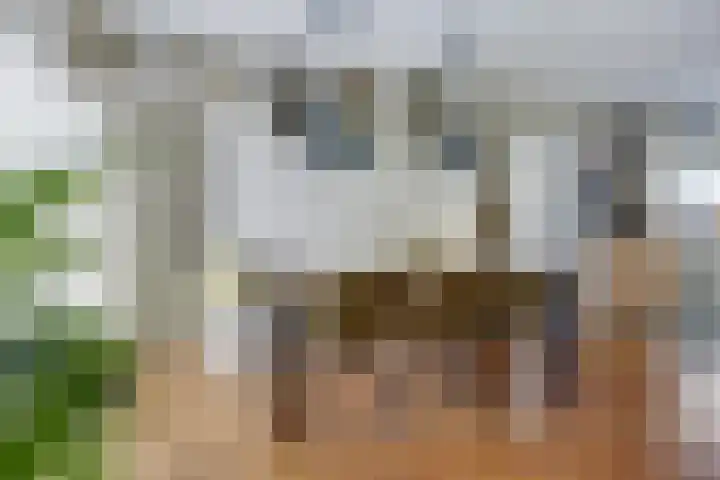 Dars 5 Zwaag thumbnail 8