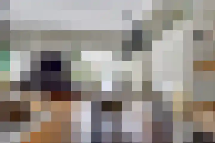 Dars 5 Zwaag thumbnail 9