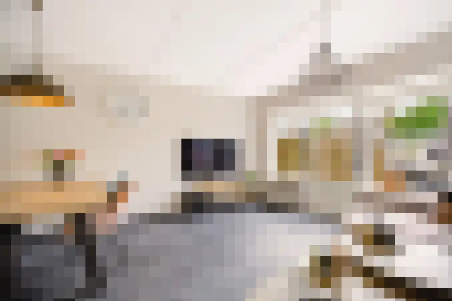 Dars 6 Wognum thumbnail 12