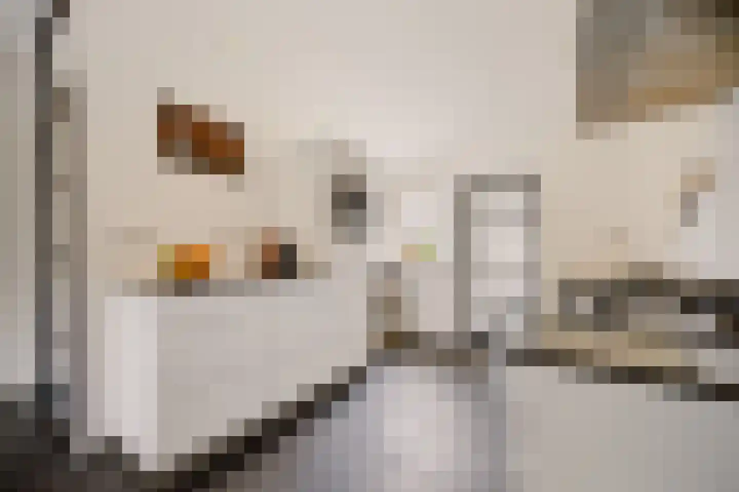 Dars 6 Wognum thumbnail 22