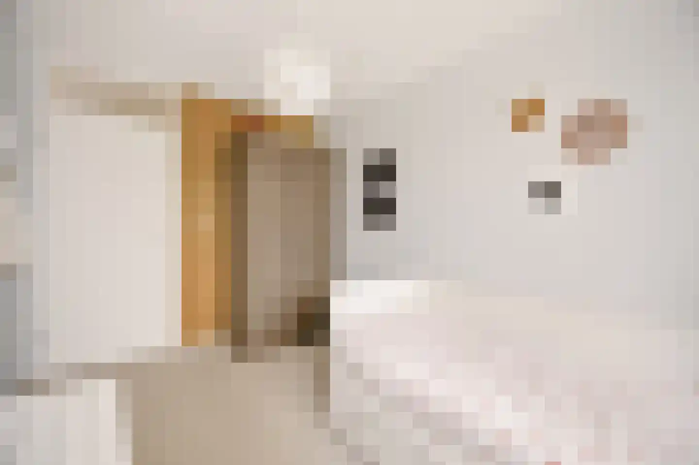 Dars 6 Wognum thumbnail 35