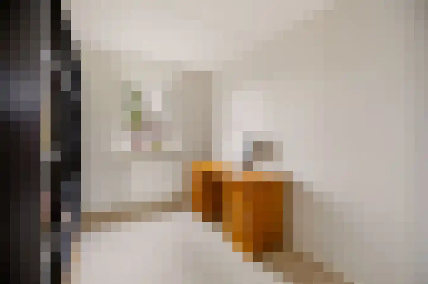 Dars 6 Wognum thumbnail 36