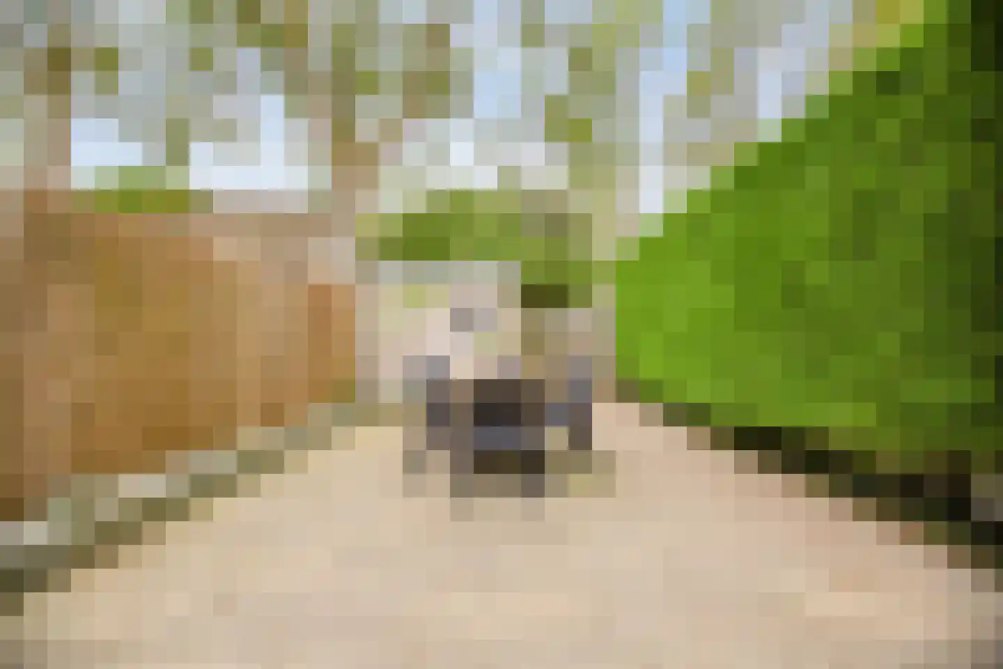 Dars 6 Wognum thumbnail 48