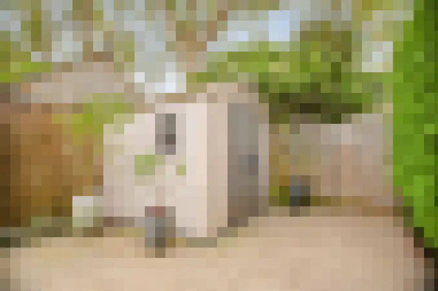Dars 6 Wognum thumbnail 49