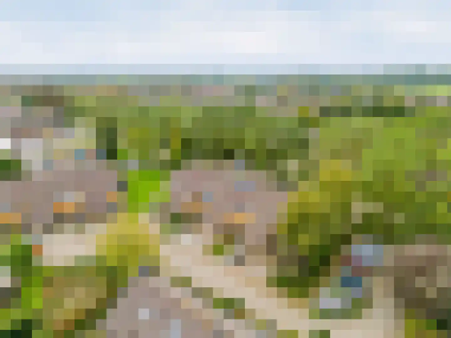 Dars 6 Wognum thumbnail 51