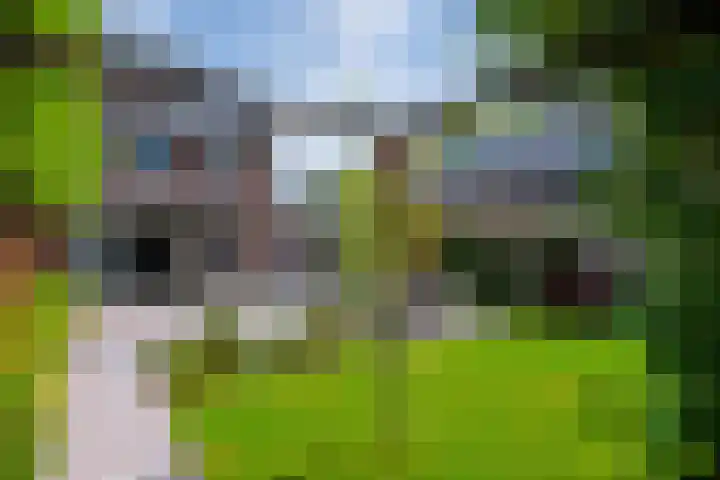 Darthuizerberg 11 Amersfoort thumbnail 12