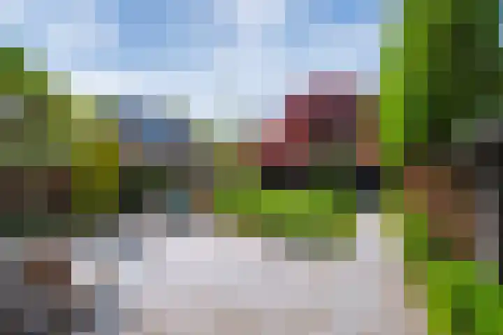 Darthuizerberg 11 Amersfoort thumbnail 9