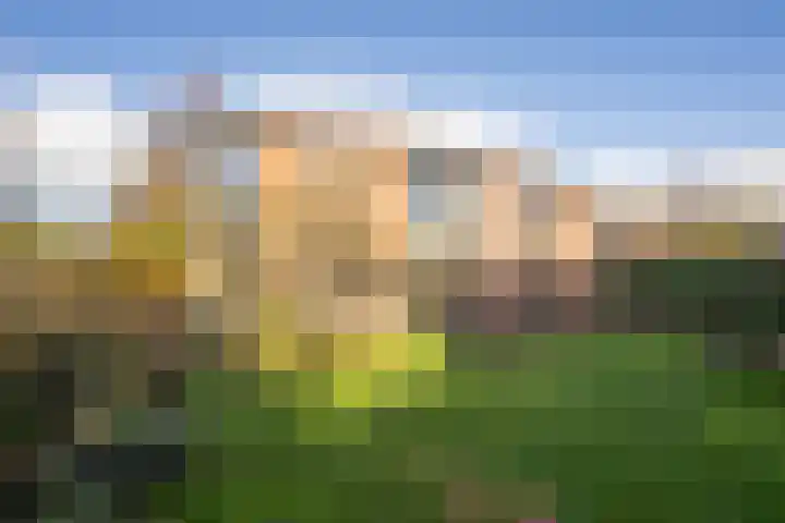 Darthuizerberg 76 Amersfoort thumbnail 19