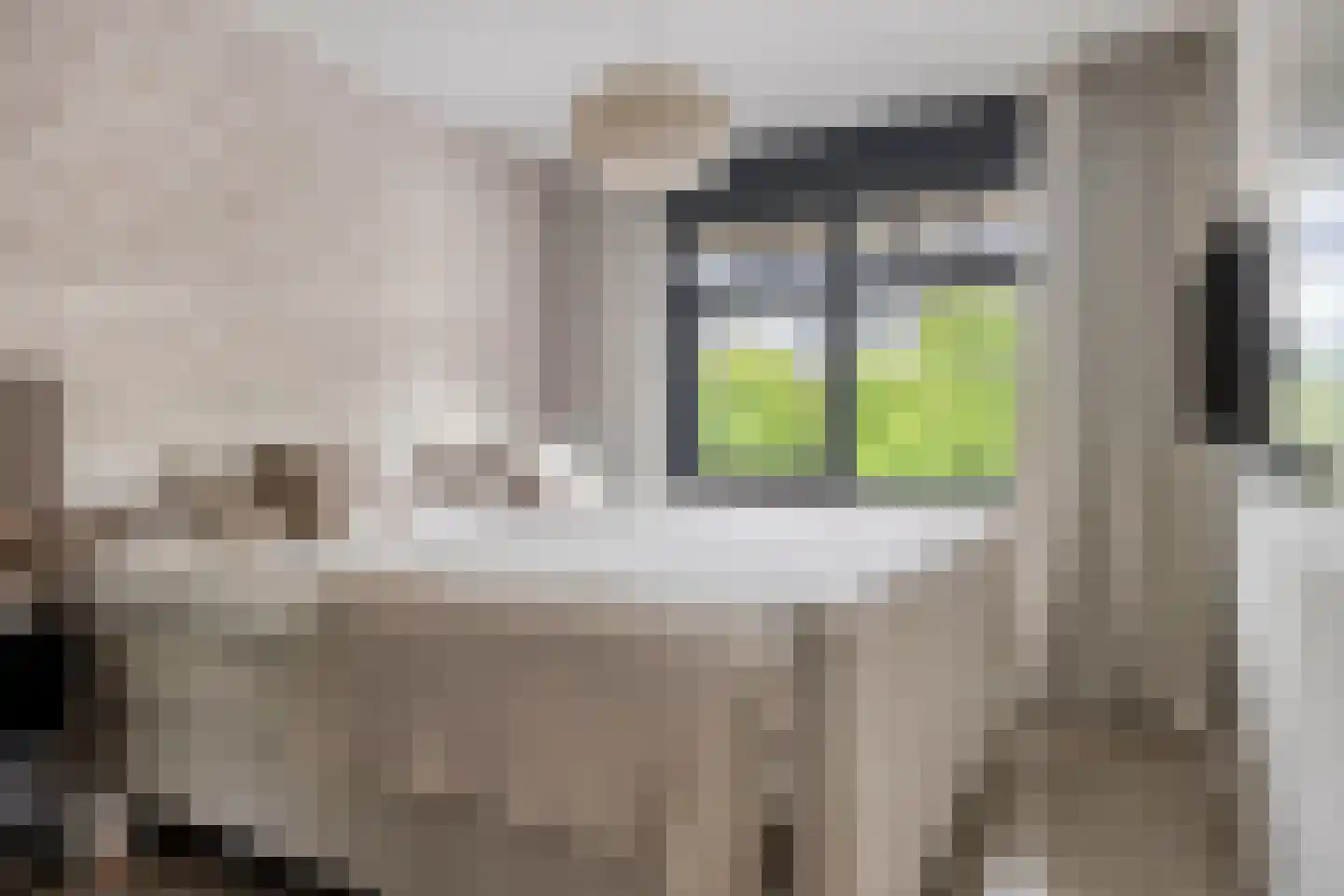 Darwinhage 17 Emmeloord thumbnail 25