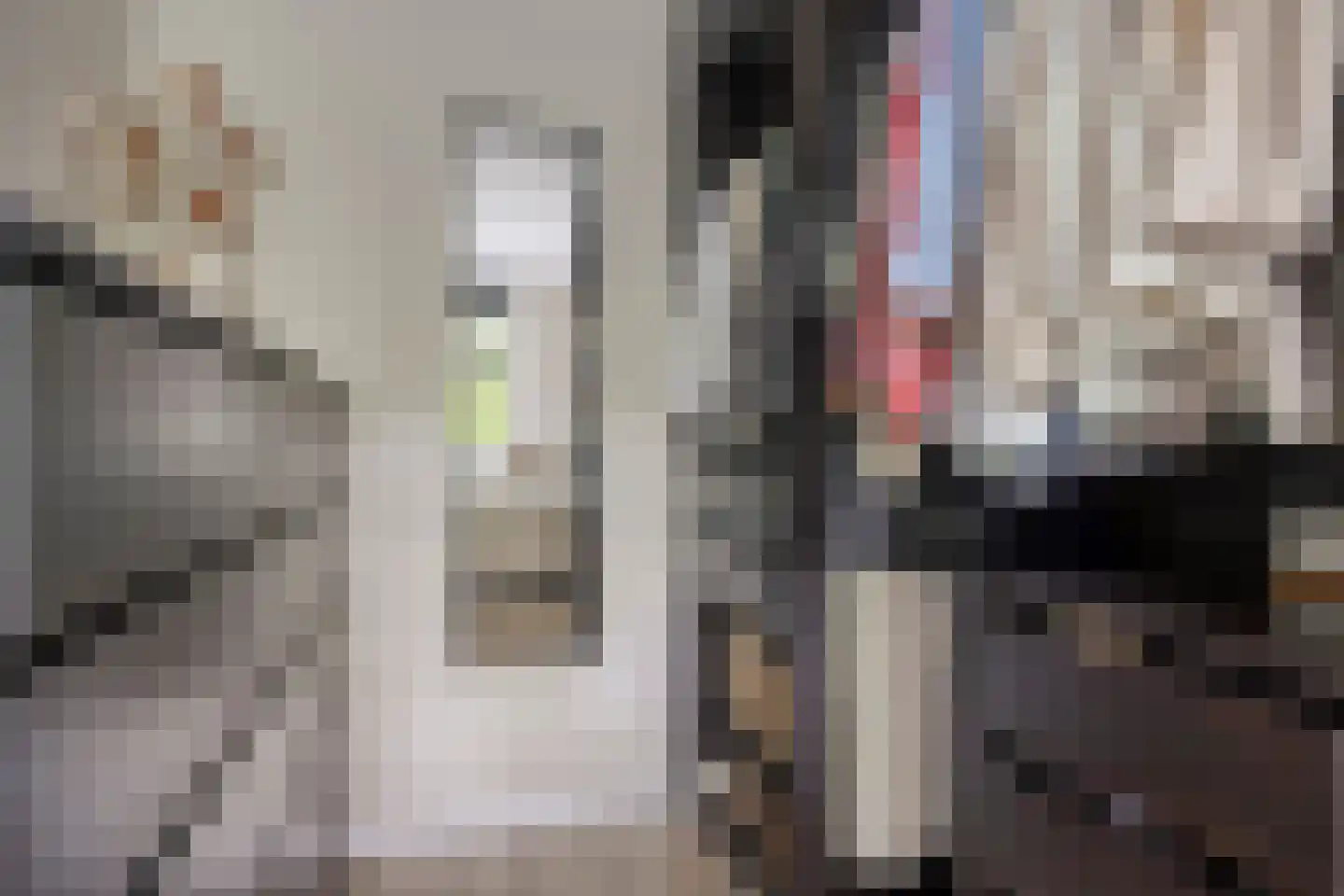 Darwinhage 17 Emmeloord thumbnail 27