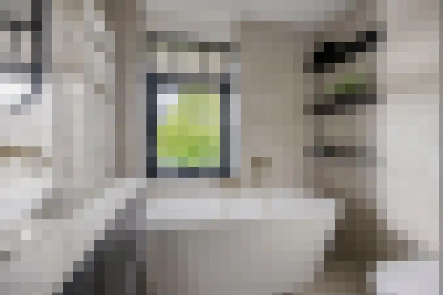 Darwinhage 17 Emmeloord thumbnail 29