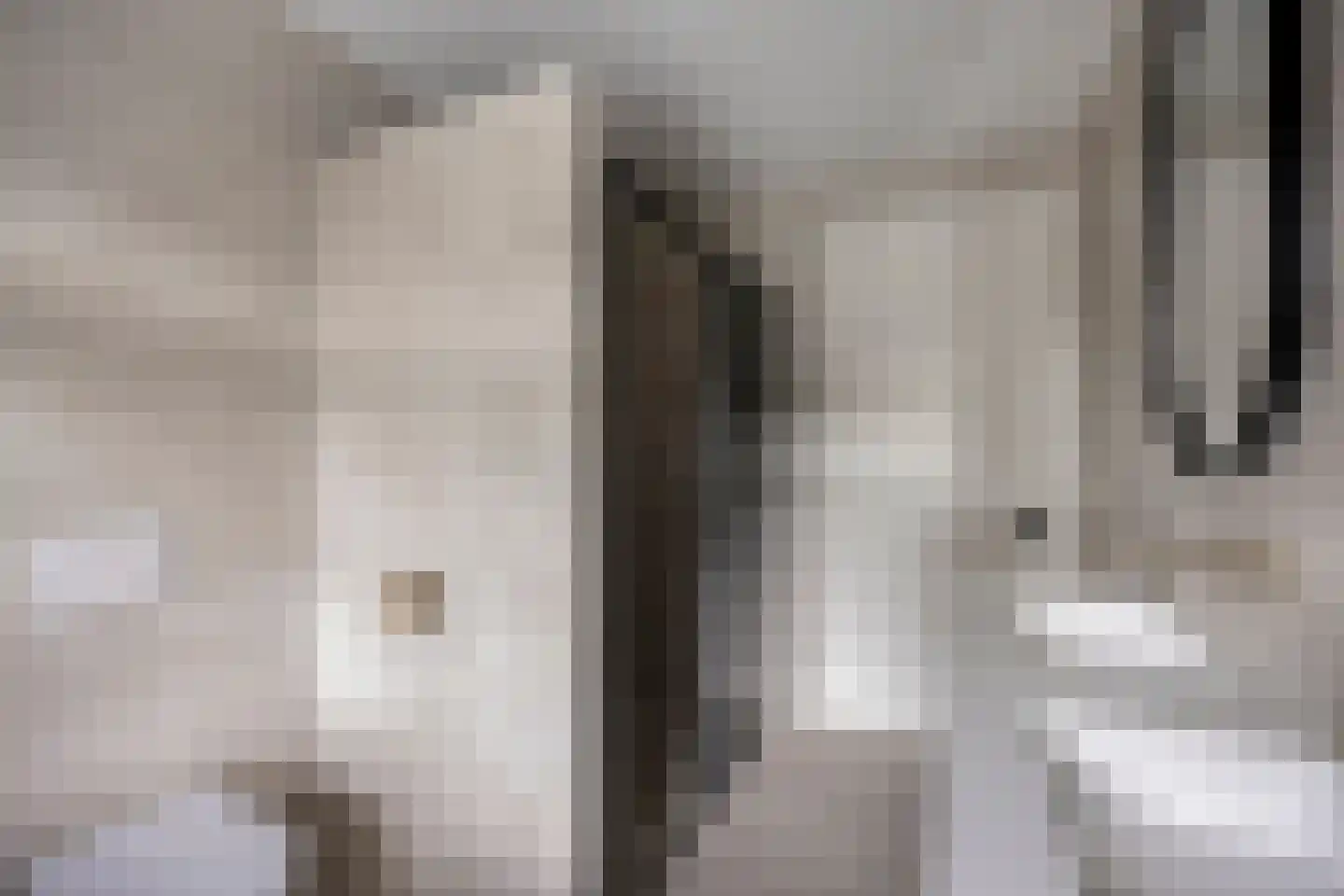 Darwinhage 17 Emmeloord thumbnail 30