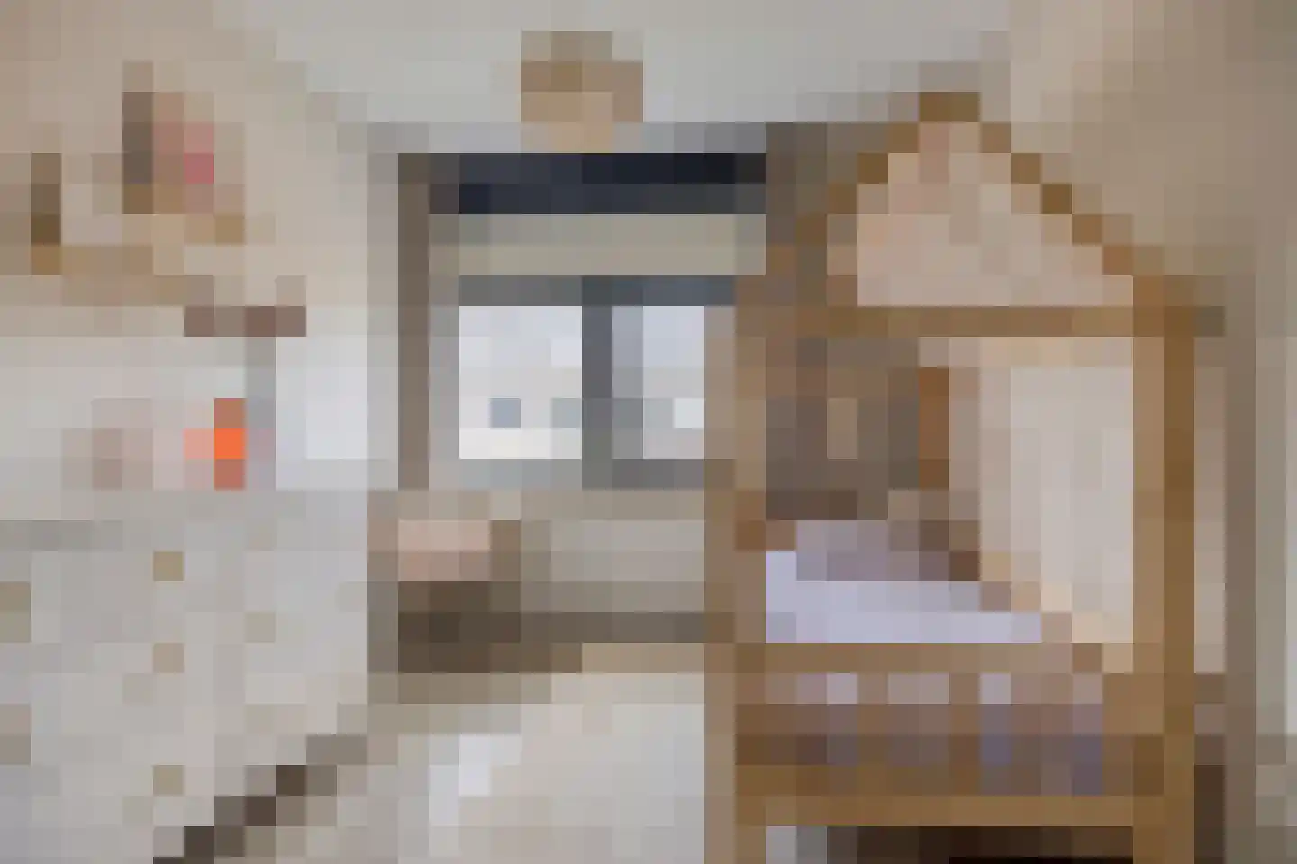 Darwinhage 17 Emmeloord thumbnail 35