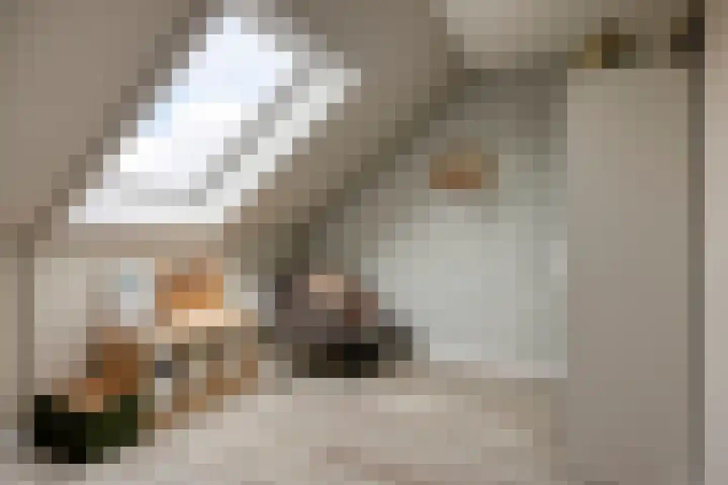 Darwinhage 17 Emmeloord thumbnail 39