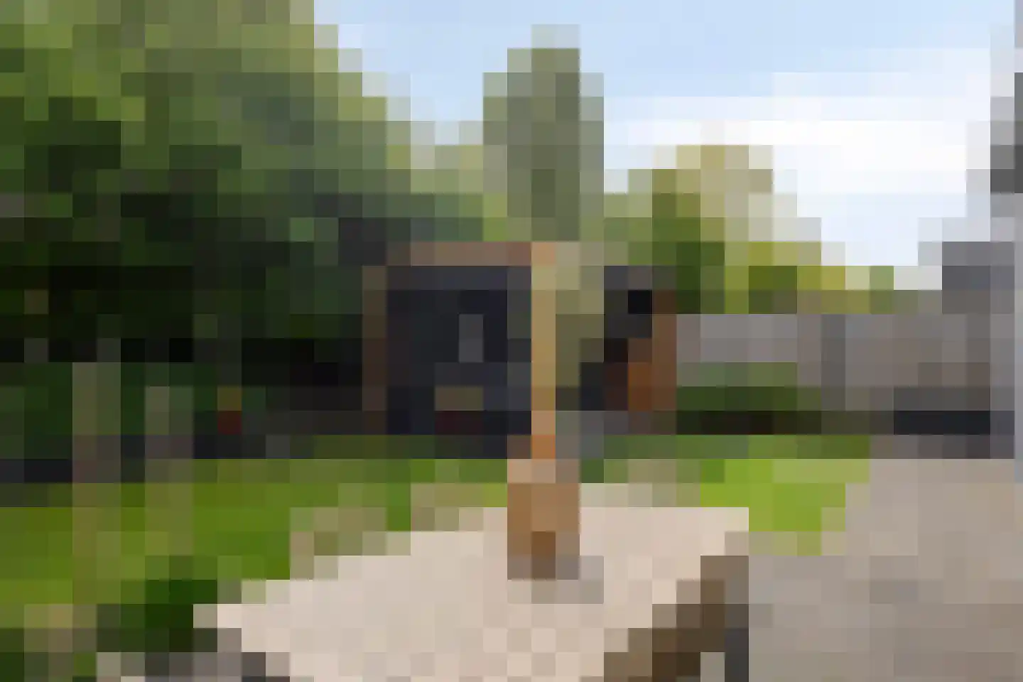 Darwinhage 17 Emmeloord thumbnail 45