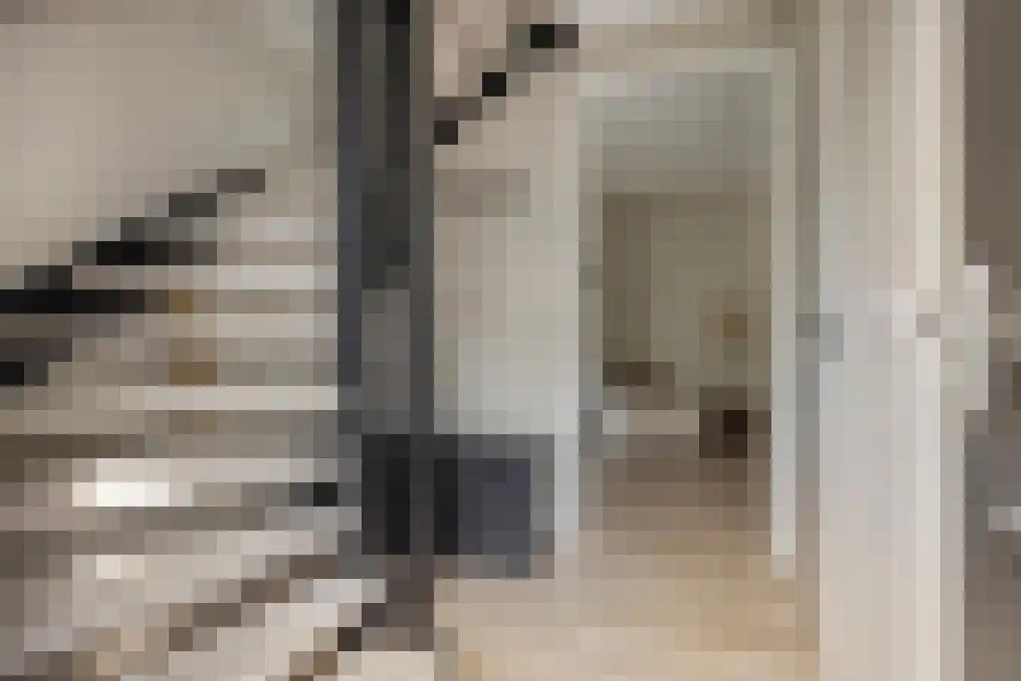 Darwinhage 17 Emmeloord thumbnail 5