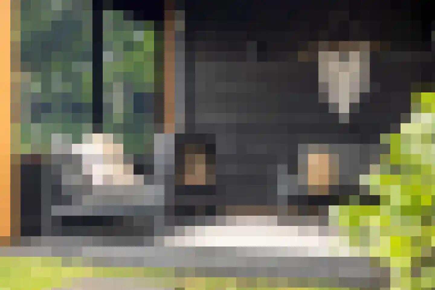 Darwinhage 17 Emmeloord thumbnail 50