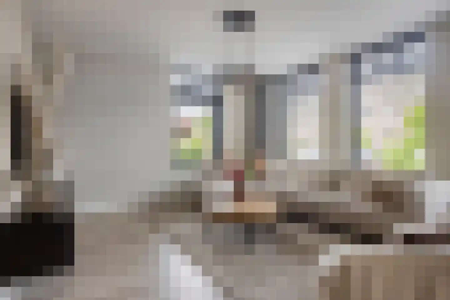 Darwinhage 17 Emmeloord thumbnail 8