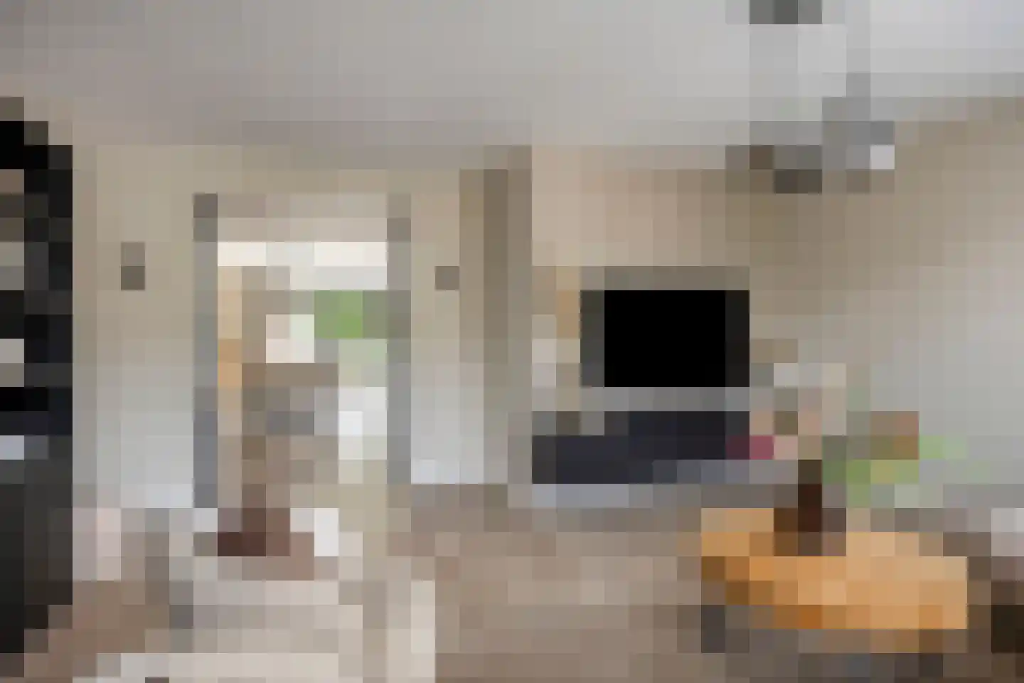 Darwinhage 17 Emmeloord thumbnail 9