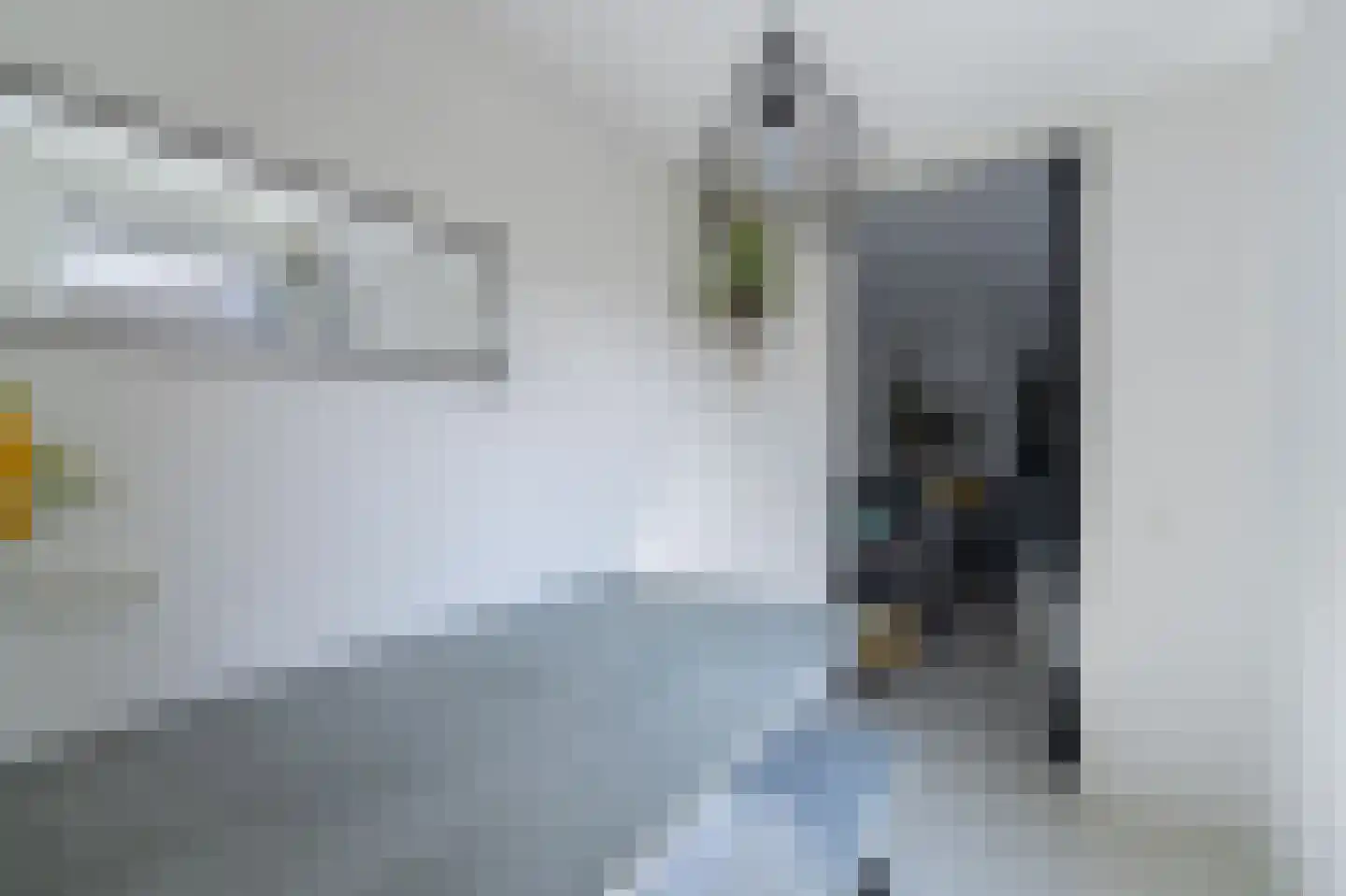 Darwinhage 18 Emmeloord thumbnail 16