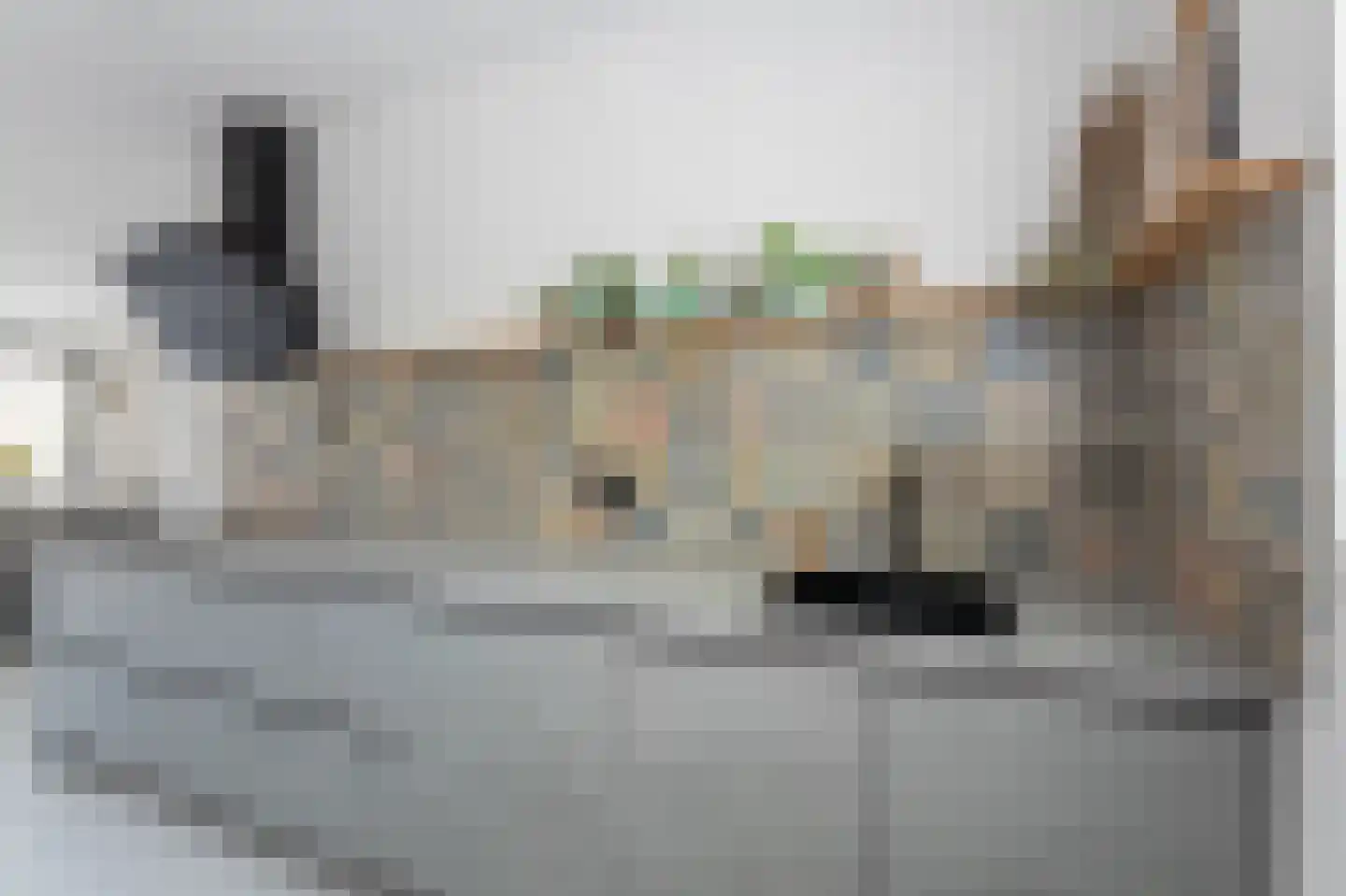 Darwinhage 18 Emmeloord thumbnail 18