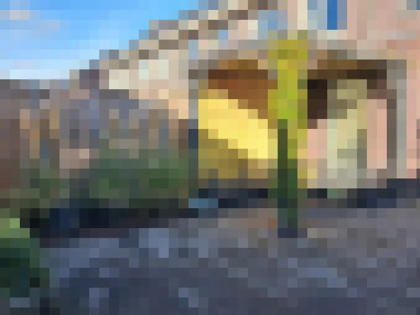 Darwinhage 18 Emmeloord thumbnail 20