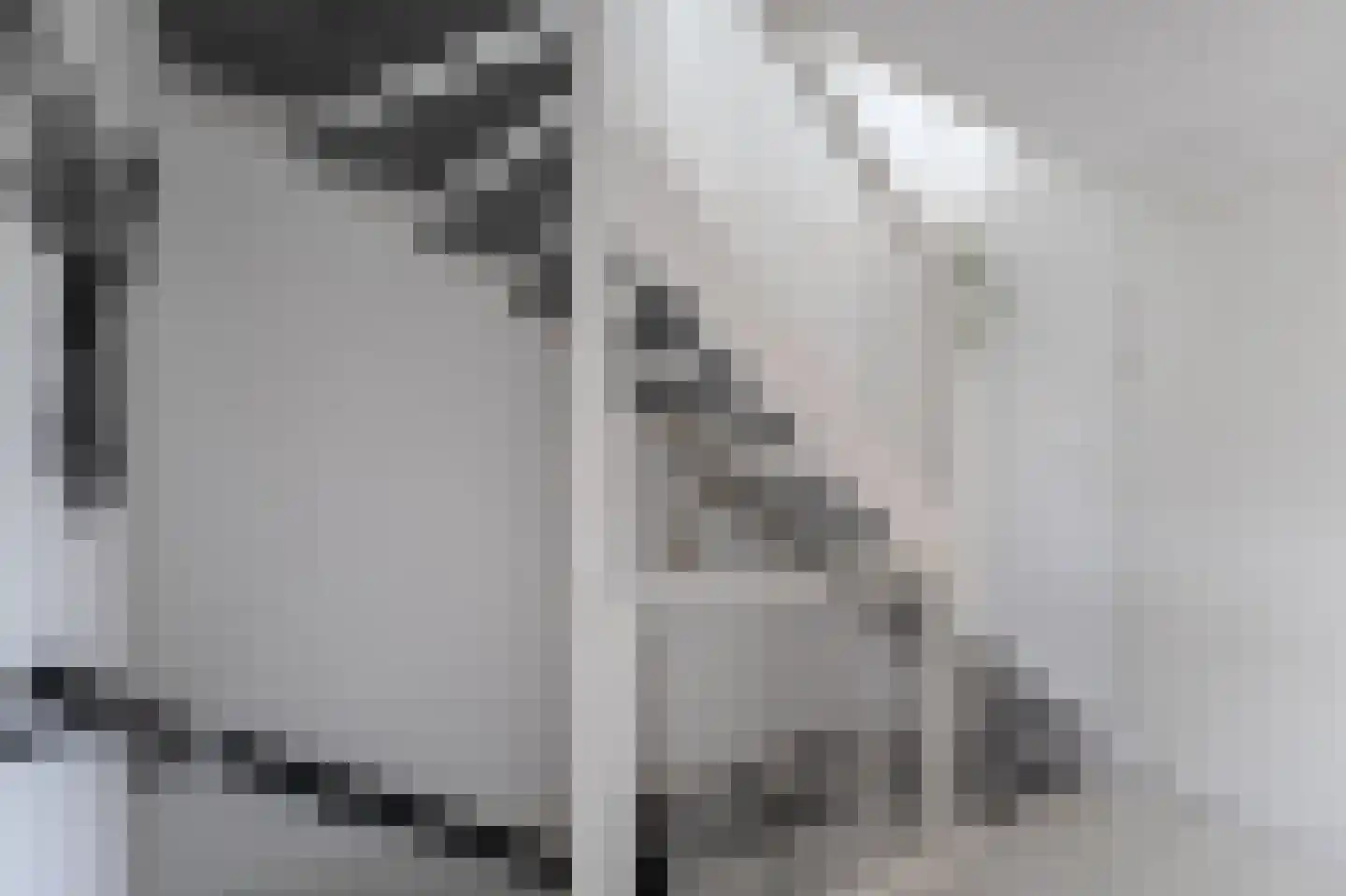 Darwinhage 18 Emmeloord thumbnail 35