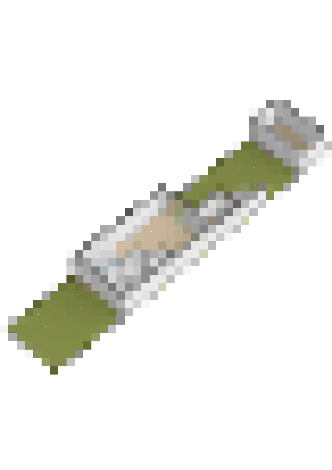 Darwinhage 18 Emmeloord thumbnail 51
