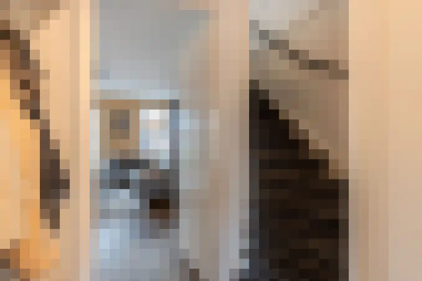 Darwinhage 22 Emmeloord thumbnail 17