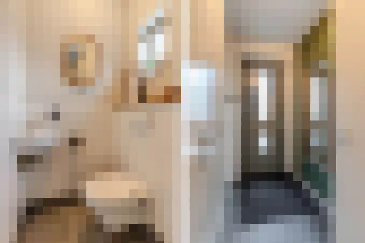 Darwinhage 22 Emmeloord thumbnail 18